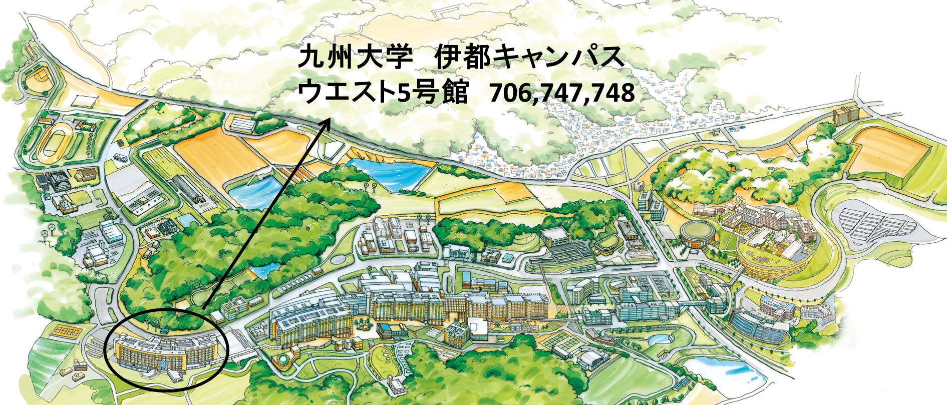 周辺地図